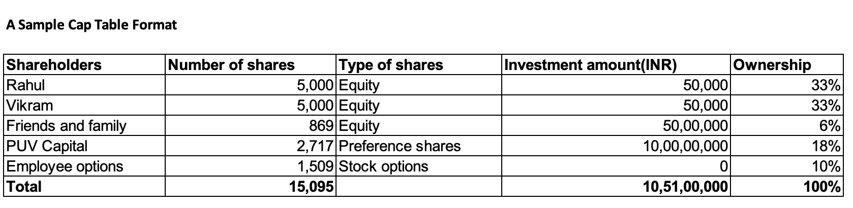 Sample Cap Table Format