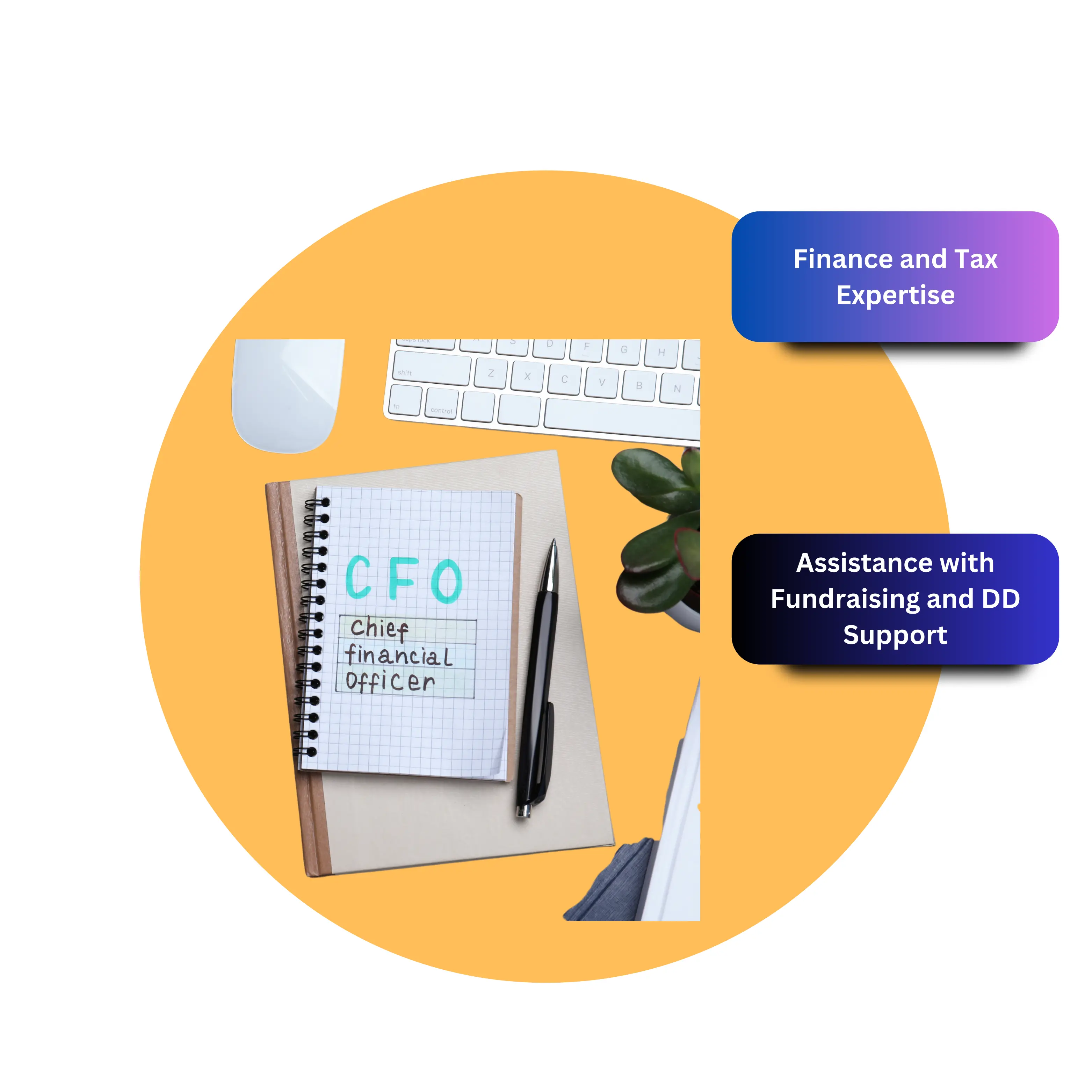 Flexible and Cost-Effective Virtual CFO Services in Bangalore